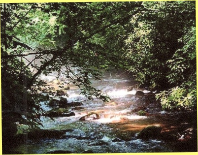photo of mountain stream, the Little Pigeon River, from the front of the book
